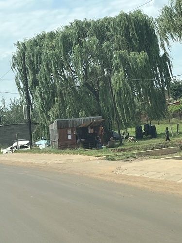 Foto de Chorão
