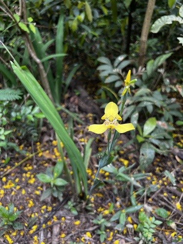 Foto de Marianinha