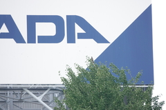 Hypsipetes amaurotis