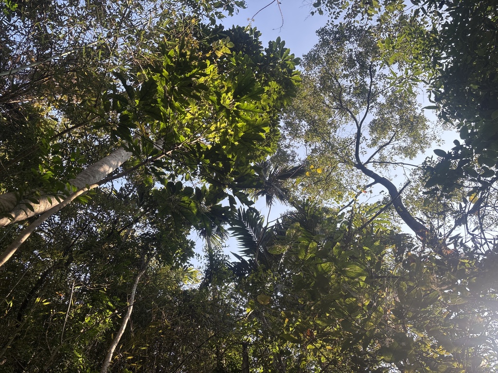 Foto de Folha