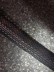 Nerodia fasciata × clarkii