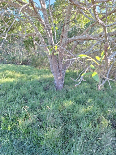 Foto de Cabo-verde