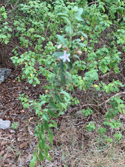 © Kate Jensen, some rights reserved (CC-BY-NC)