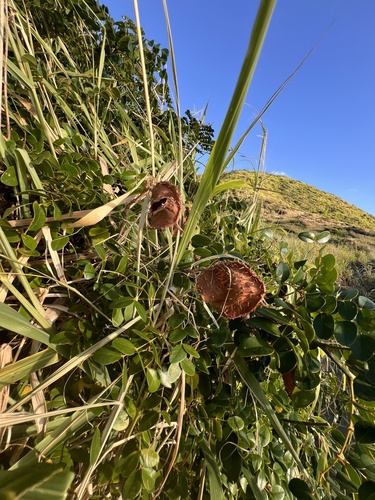 Foto de Desconhecido