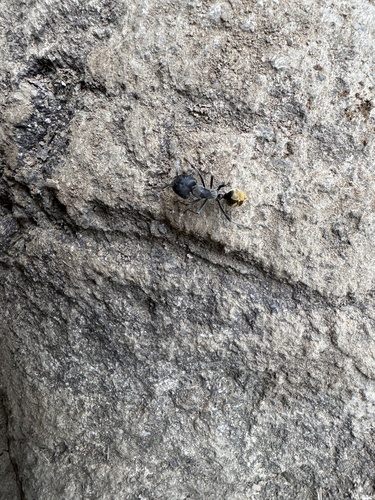 背视图图像 - john_0411