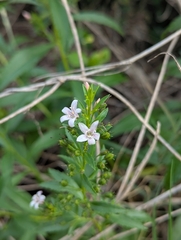 © Will Bennett, some rights reserved (CC-BY-NC)