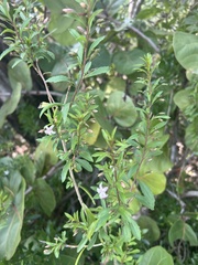 © BARBIJD92, some rights reserved (CC-BY-NC)