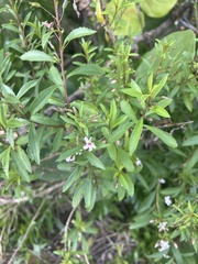 © BARBIJD92, some rights reserved (CC-BY-NC)