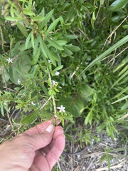 © BARBIJD92, some rights reserved (CC-BY-NC)