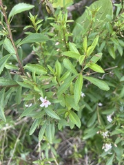 © BARBIJD92, some rights reserved (CC-BY-NC)