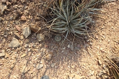 © Massugue, some rights reserved (CC-BY-NC)