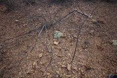 © Massugue, some rights reserved (CC-BY-NC)