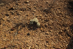 © Massugue, some rights reserved (CC-BY-NC)