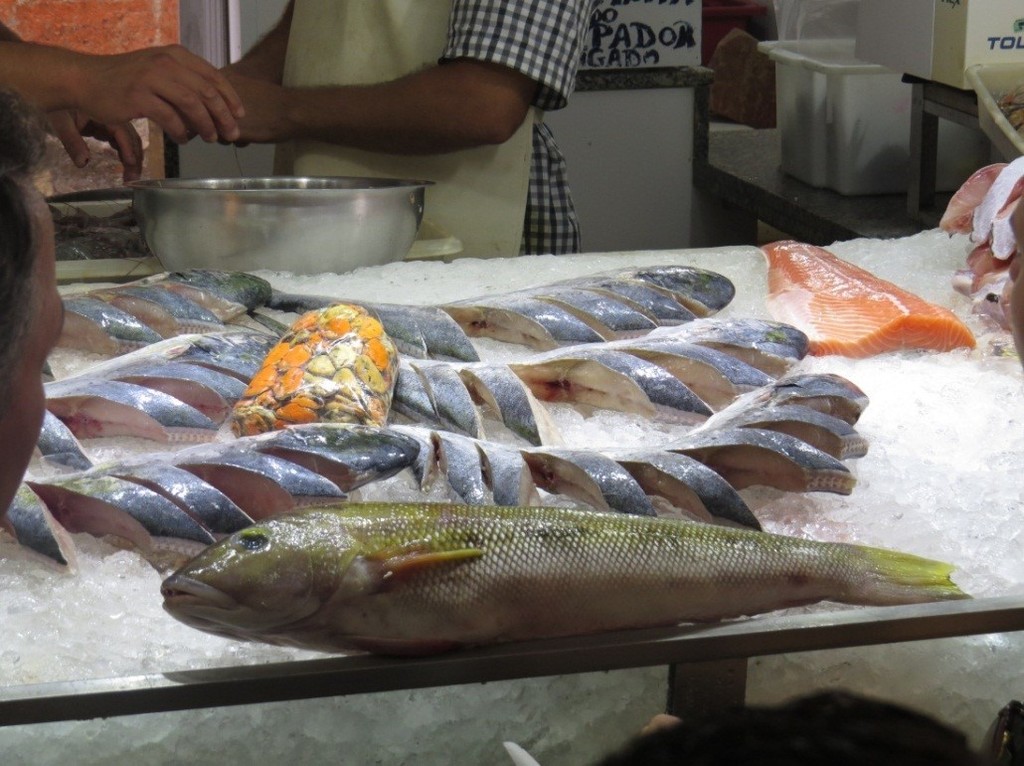 Namorado Sandperch
