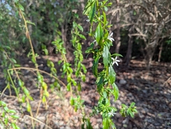 © Jess Beauchemin, some rights reserved (CC-BY-NC)