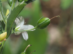 © Barry Sullender, some rights reserved (CC-BY-NC)