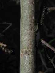 © Barry Sullender, some rights reserved (CC-BY-NC)