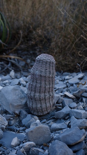 Foto de Cacto ouriço
