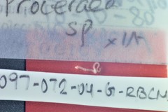 Proceraea