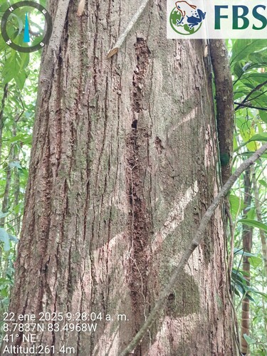 Foto de Acariquara