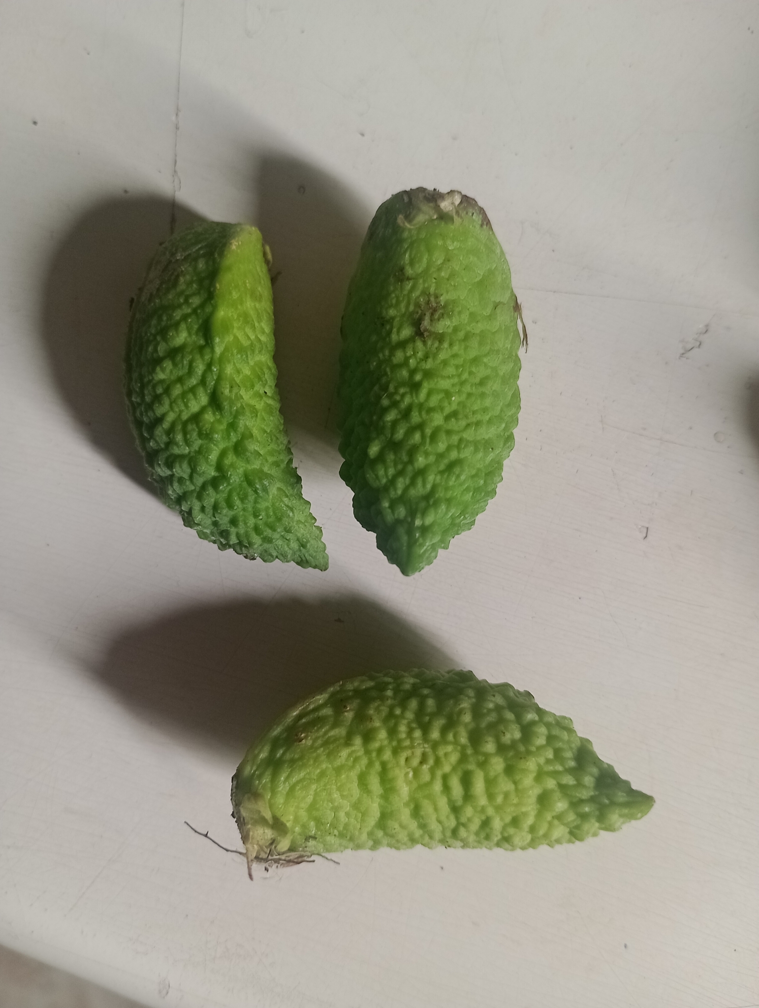 Imagem de Cobrina