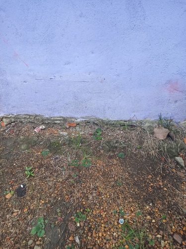 Foto de Carapiá