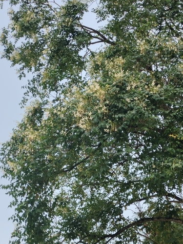 Foto de Corticeira