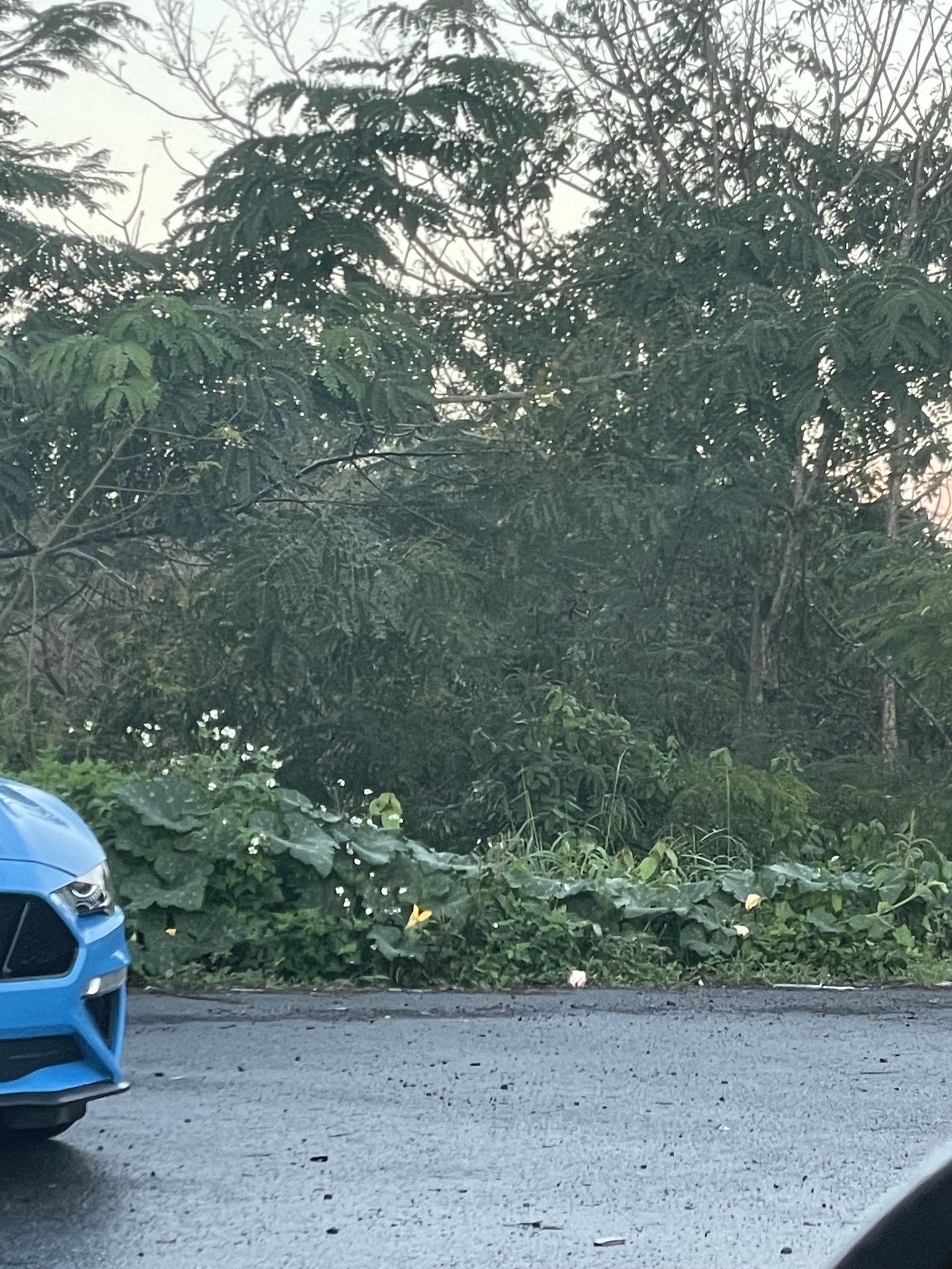A photo related to this post