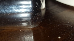 Poneracantha triangularis