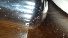 Poneracantha triangularis