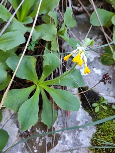 Foto de Primavera