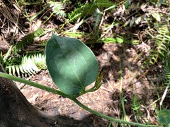 © Kate Braun, some rights reserved (CC-BY-NC)