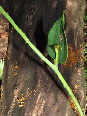 © Kate Braun, some rights reserved (CC-BY-NC)