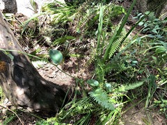 © Kate Braun, some rights reserved (CC-BY-NC)