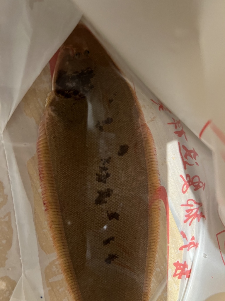 Threeline tonguefish (Cynoglossus trigrammus) — Cynoglossidae
