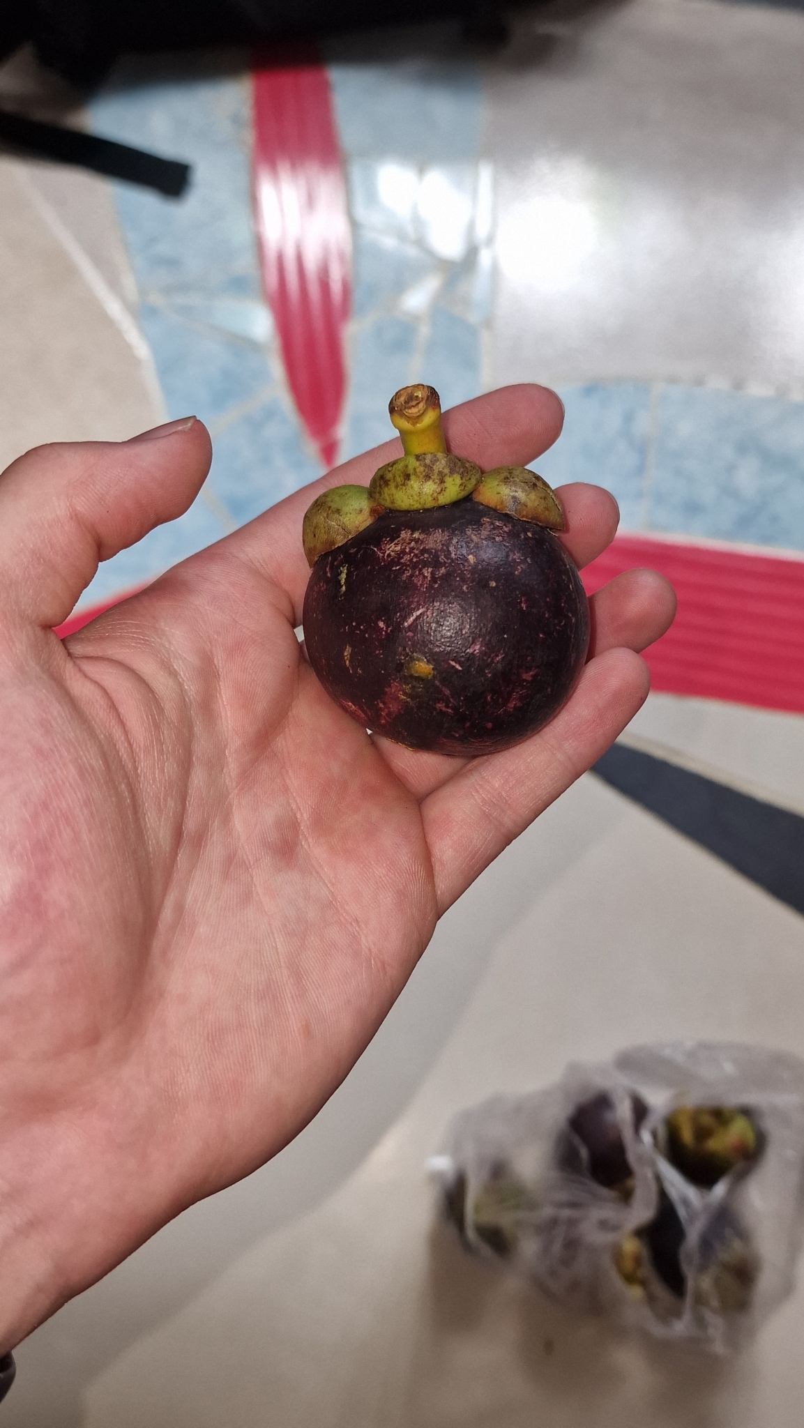 Imagem de Mangostão