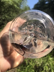 Necturus mounti