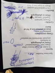 Crustomyces subabruptus