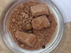 Dasymutilla eminentia