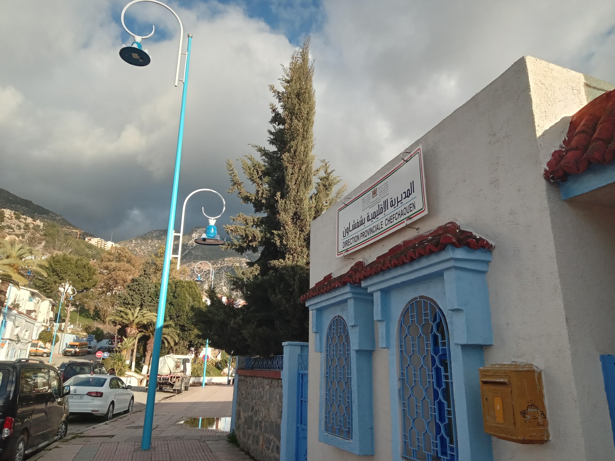 Imagem de Cipreste-comum