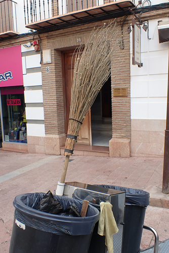 Mantisalca salmantica iNat (1)