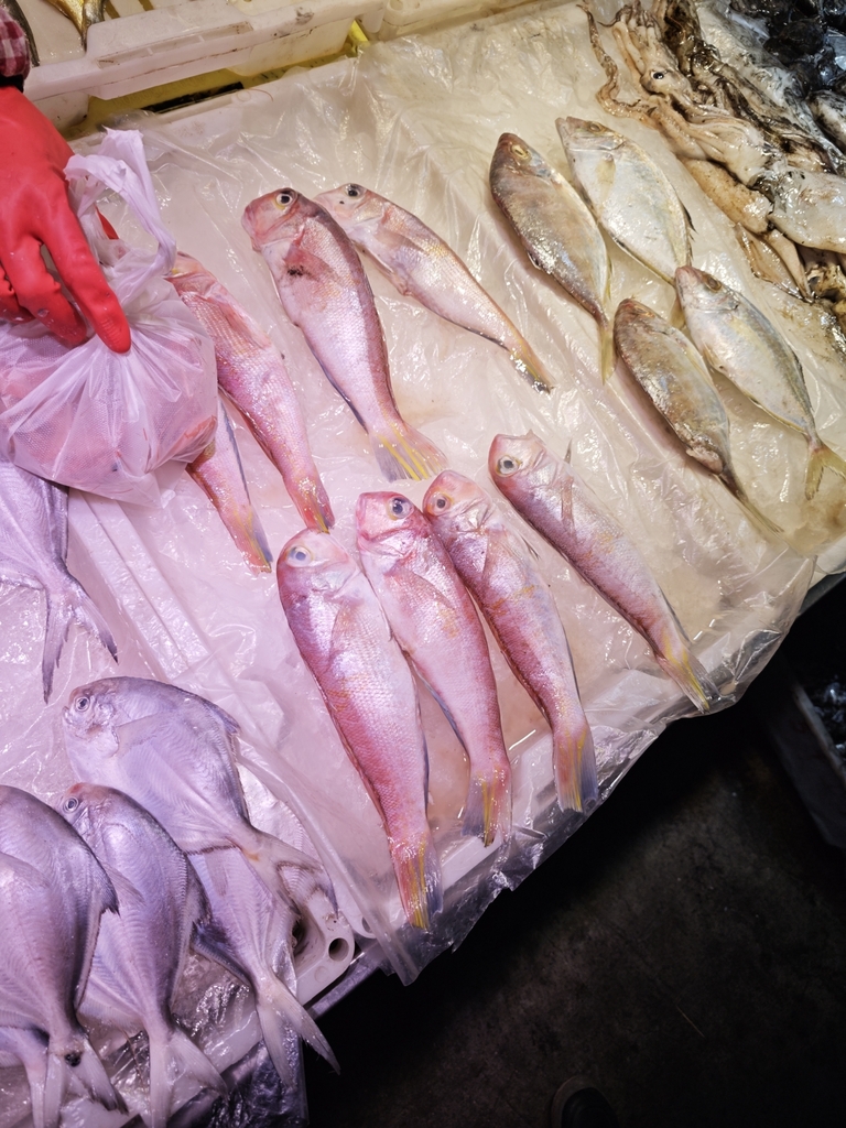 Horsehead tilefish (Branchiostegus japonicus) — Malacanthidae