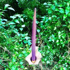 Amorphophallus hirtus