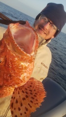 Spotted Fin Scorpionfish photo 2
