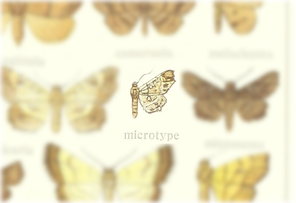 Egnasia microtype