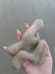 Atlantic Sea Pork photo 2