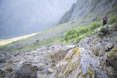 New Zealand Rockwren photo 2