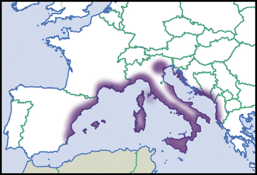 Troque des dunes