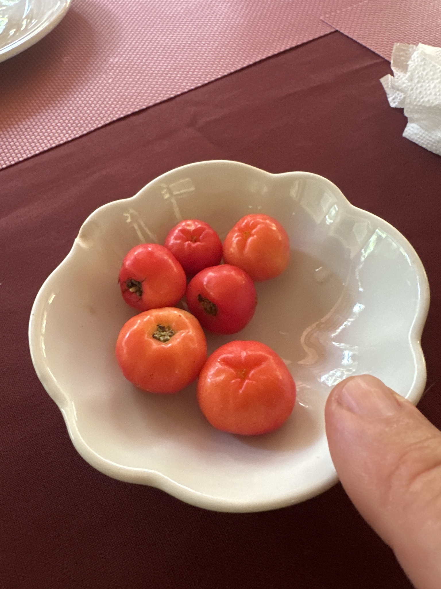 Imagem de Acerola