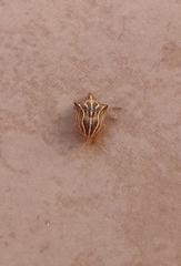 Ancyrosoma leucogrammes